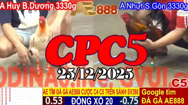 Clip Đá Gà Thomo CPC5 Ngày 25122025 Full Trận