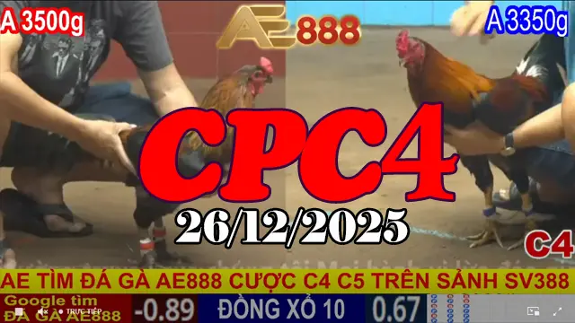 Clip Phát Lại Đá Gà Thomo CPC4 Ngày 26122025 HD