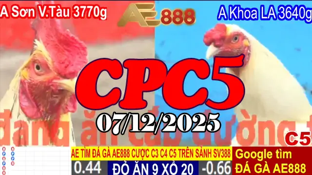 Clip đá gà trực tiếp CPC5 hôm nay 07122025 full trận HD