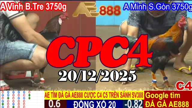 Đá Gà Trực Tiếp CPC4 Hôm Nay 20122025 Mượt Mà