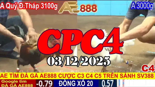 Đá gà thomo CPC4 hôm nay 03122025 Phát lại những pha quyết định trận đấu