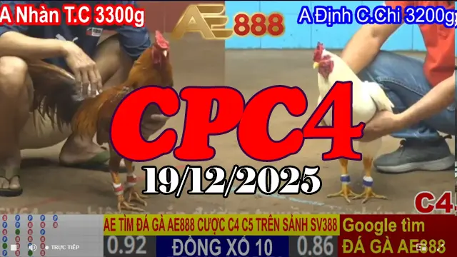 Full Clip Đá Gà CPC4 19122025 Xem Lại Miễn Phí