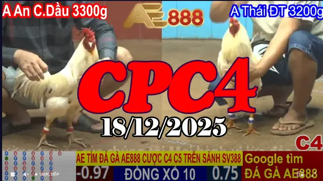 Full Clip Trực Tiếp Đá Gà CPC4 Ngày 18122025 Mới Nhất