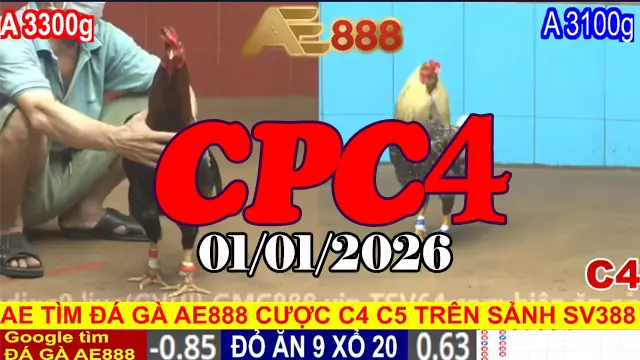 Phát Lại Đá Gà CPC4 Trực Tiếp Hôm Nay 01012026
