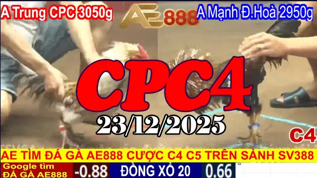 Phát Lại Đá Gà Thomo CPC4 23122025 Xem Ngay