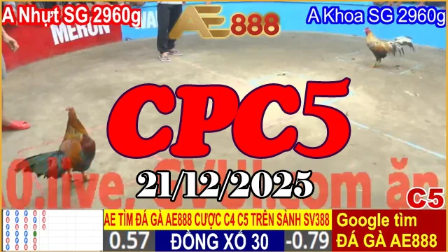 Phát Lại Đá Gà Trực Tiếp CPC5 21122025 Mới Nhất