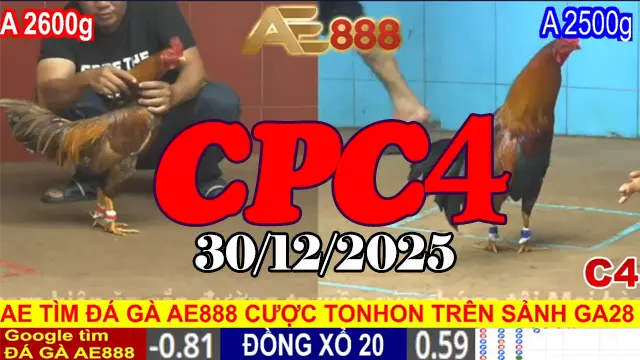Phát lại các trận đá gà CPC4 hôm nay 30122025