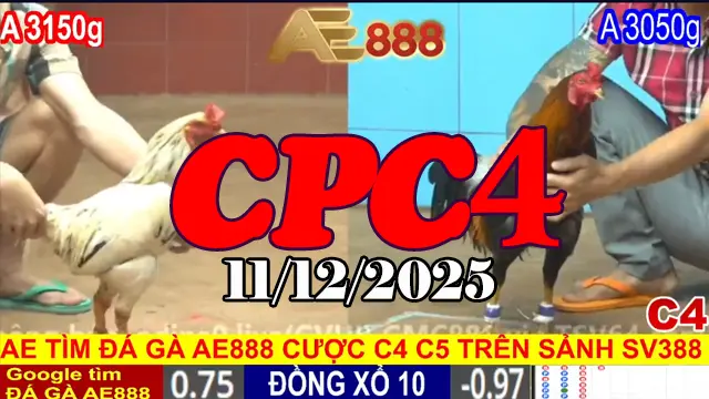 Siêu phẩm trực tiếp đá gà Thomo CPC4 hôm nay 11122025 mới cập nhật