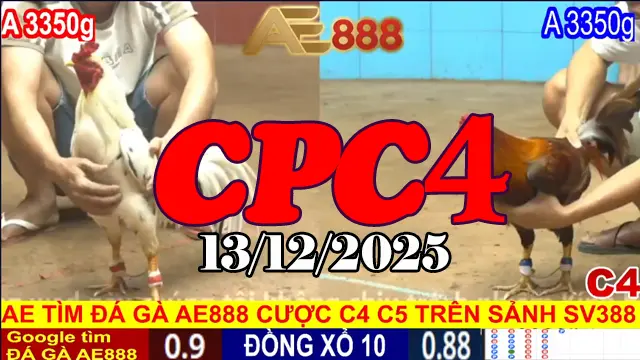 Tổng Hợp Link Xem Đá Gà Trực Tiếp CPC4 Hôm Nay 13122025