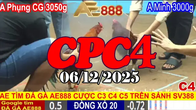 Tổng hợp link đá gà trực tiếp CPC4 hôm nay 06122025 bản phát lại