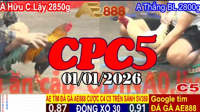 Tổng hợp video trực tiếp đá gà CPC5 01012026