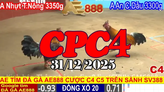 Trận Đấu Đỉnh Cao Đá Gà Thomo CPC4 31122025 Video Clip Mới