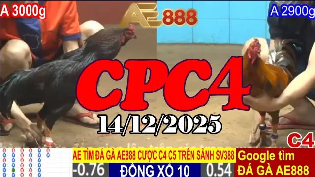 Trực Tiếp Đá Gà CPC4 Hôm Nay 14122025 Phát Lại Mới Nhất