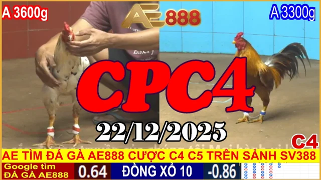 Trực tiếp đá gà CPC4 hôm nay 22122025 xem ngay