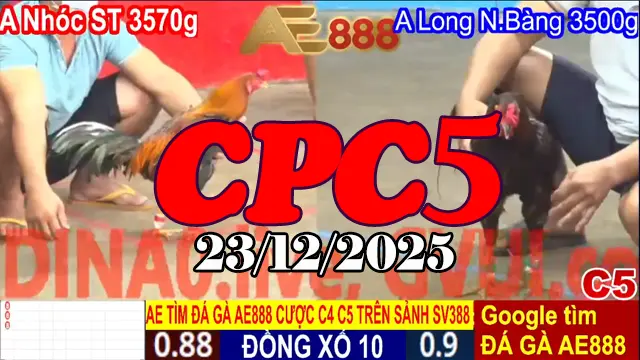 Video Phát Lại Đá Gà Thomo CPC5 Hôm Nay 23122025