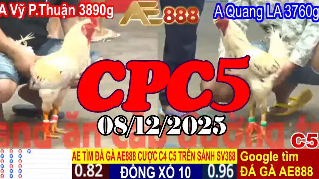 Video full trực tiếp đá gà CPC5 hôm nay 08122025