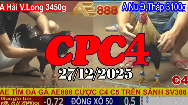 Video trực tiếp đá gà CPC4 hôm nay 27122025 xem miễn phí