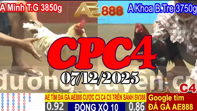 Video trực tiếp đá gà Thomo CPC4 hôm nay 07122025 không lag