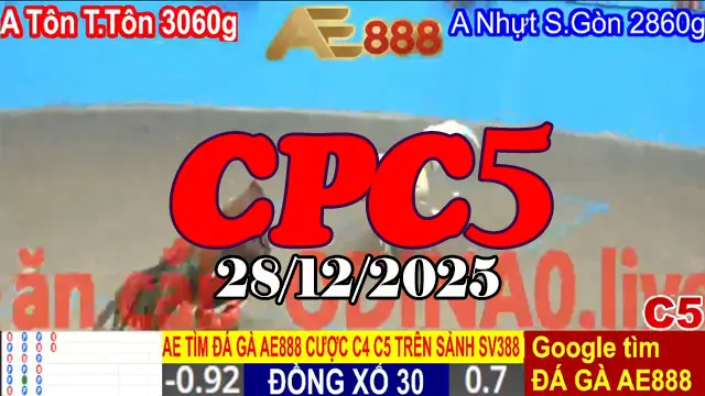 Video xem lại đá gà Thomo CPC5 hôm nay 28/12/2025