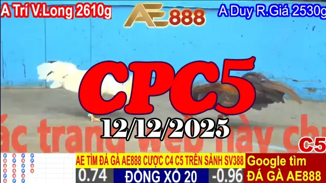 Xem Clip Đá Gà CPC5 12122025 – Trực Tiếp Full Chất Lượng