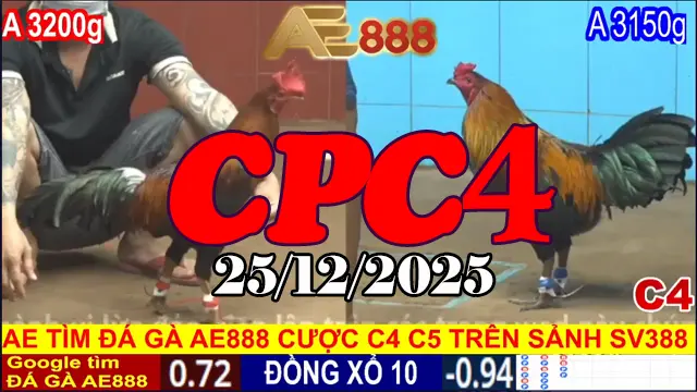 Xem Đá Gà CPC4 Trực Tiếp Hôm Nay 25122025