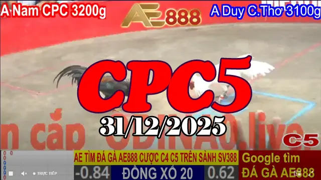 Xem Lại Đá Gà Thomo CPC5 Hôm Nay 31122025 Mượt Nhất