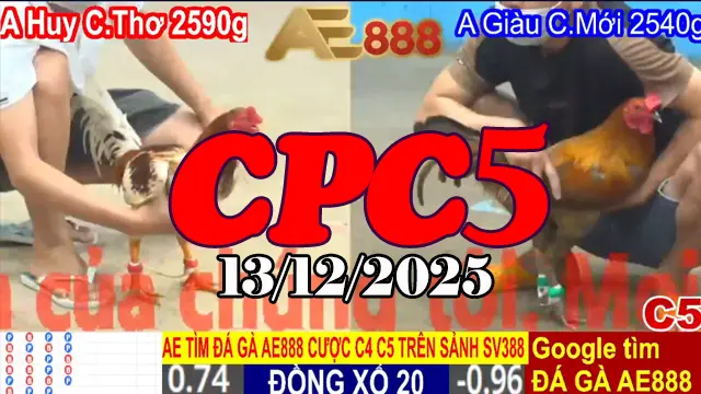 Xem Lại Video Trực Tiếp Đá Gà CPC5 Hôm Nay 13122025
