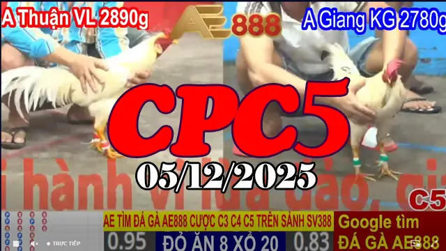 Xem Online Đá Gà Thomo CPC5 Hôm Nay 05122025 Trực Tiếp & Phát Lại
