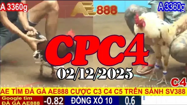Xem Trực Tiếp Đá Gà CPC4 Hôm Nay 02122025 - Cập Nhật Phát Lại Video