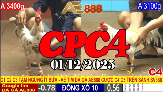 Xem Trực Tiếp Đá Gà Thomo CPC4 Ngày 01122025 - Xem Mới Nhất