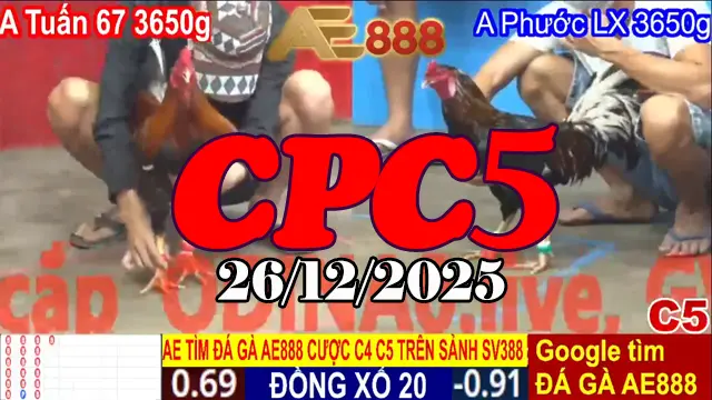 Xem Video Clip Đá Gà Thomo CPC5 Hôm Nay 26122025