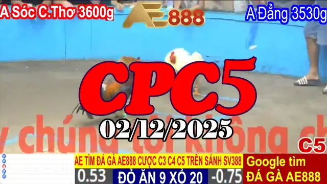 Xem Video Phát Lại Đá Gà CPC5 02122025 - Đánh Giá Trận Đấu