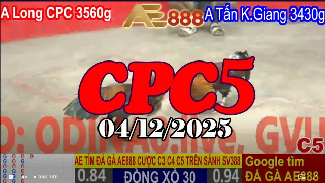 Xem clip đá gà trực tiếp thomo CPC5 hôm nay 04122025 – Phát lại không bỏ sót