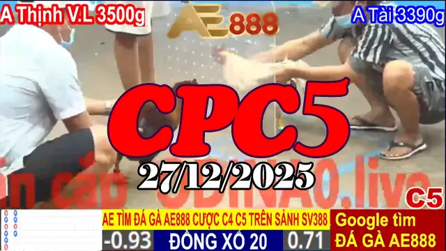 Xem clip trực tiếp đá gà CPC5 27122025 miễn phí
