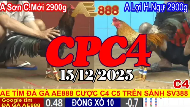 Xem đá gà CPC4 trực tiếp 15122025 miễn phí