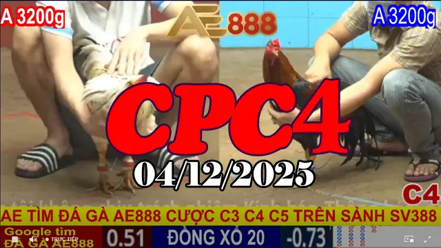Xem đá gà thomo CPC4 phát lại 04122025 – Trận chiến nảy lửa