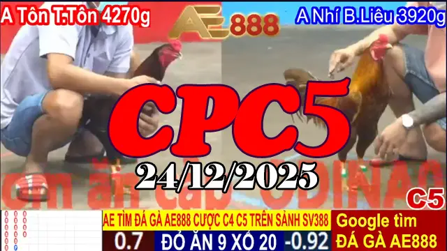 Xem nhanh đá gà Thomo CPC5 hôm nay 24122025 phát lại