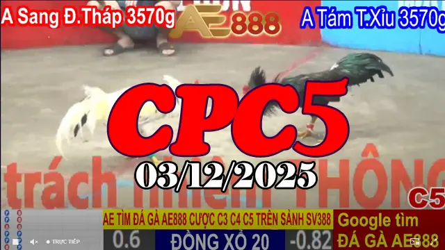 Xem video phát lại đá gà thomo CPC5 hôm nay 03122025 - Những pha đấu đỉnh cao